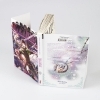 Buchcover und Innenansicht für das Buch:   Final Fantasy - Lost Stranger