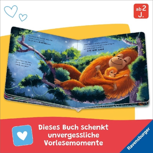Buchcover und Innenansicht für das Buch: Oh no, Bobo!