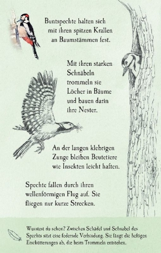 Buchcover und Innenansicht für das Buch: Natur-Entdecker-Karten: Unsere heimischen Vögel
