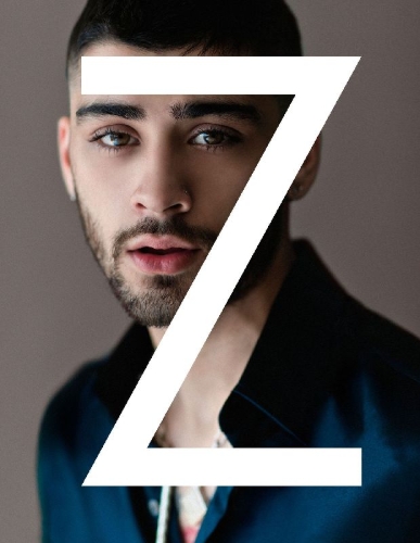 Buchcover und Innenansicht für das Buch: ZAYN