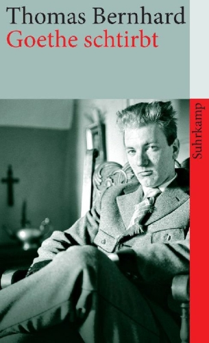 Buchcover und Innenansicht für das Buch: Goethe schtirbt