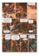 Buchcover und Innenansicht für das Buch: Orks & Goblins. Band 15