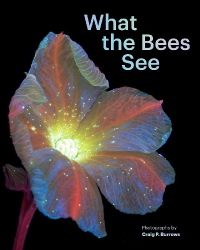 Buchcover und Innenansicht für das Buch: What the Bees See