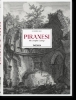Buchcover und Innenansicht für das Buch: Piranesi