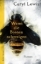 Buchcover und Innenansicht für das Buch: The Danger of Small Things