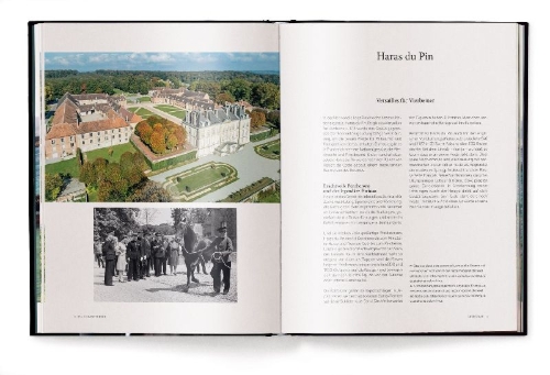 Buchcover und Innenansicht für das Buch: Reiten