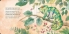 Buchcover und Innenansicht für das Buch: Maravillas del mundo animal