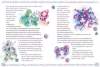 Buchcover und Innenansicht für das Buch: Nebulous Stars: Die schönsten Geschichten