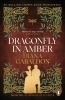 Buchcover und Innenansicht für das Buch: Dragonfly in Amber
