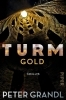 Buchcover und Innenansicht für das Buch: Turmgold