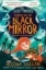 Buchcover und Innenansicht für das Buch: The Light Thieves: Search for the Black Mirror