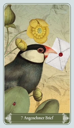Buchcover und Innenansicht für das Buch: Christephania Kipper