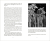 Buchcover und Innenansicht für das Buch: Heitere Himmel
