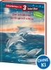 Buchcover und Innenansicht für das Buch: Lesenlernen in 3 Schritten - Die schönsten Delfingeschichten