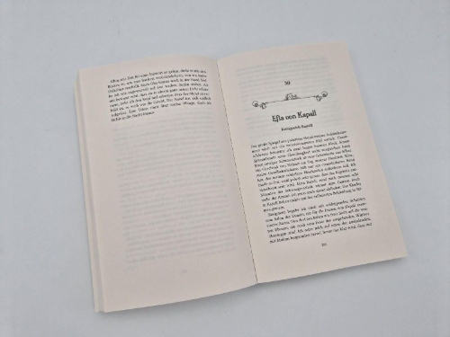 Buchcover und Innenansicht für das Buch: Elles et le Feu