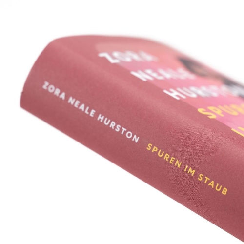 Buchcover und Innenansicht für das Buch: Spuren im Staub