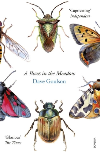 Buchcover und Innenansicht für das Buch: A Buzz in the Meadow