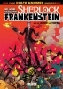 Buchcover und Innenansicht für das Buch: Black Hammer
