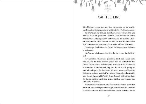 Buchcover und Innenansicht für das Buch: The Prison Healer