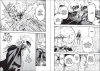 Buchcover und Innenansicht für das Buch: KATAINAKA NO OSSAN KENSEI NI NARU¿TADANO INAKA NO KENJUTSU SHIHAN DATTANONI TAISEI SHITA DESHITACHI