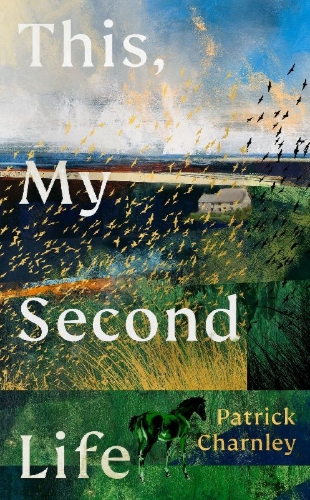 Buchcover und Innenansicht für das Buch: This, My Second Life