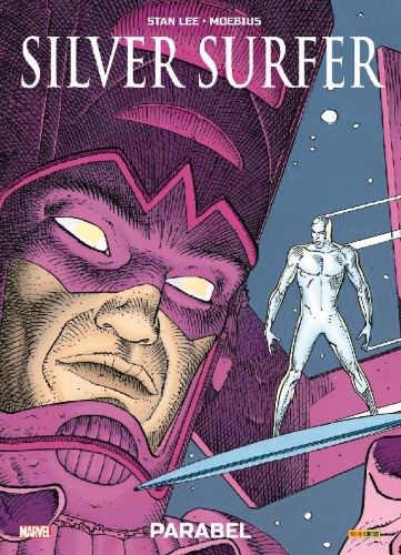 Buchcover und Innenansicht für das Buch: Silver Surfer
