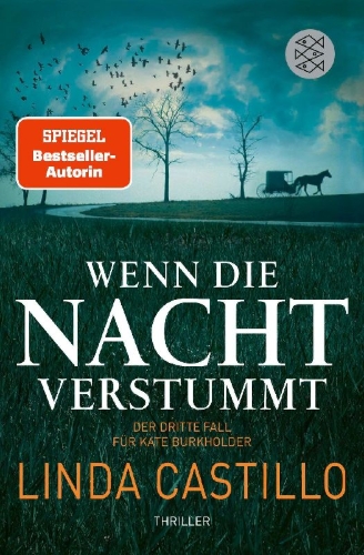 Buchcover und Innenansicht für das Buch: Breaking Silence