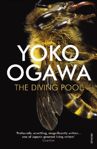 Buchcover und Innenansicht für das Buch: The Diving Pool