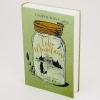 Buchcover und Innenansicht für das Buch: Echo Mountain