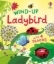 Buchcover und Innenansicht für das Buch: Wind-up Ladybird