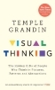 Buchcover und Innenansicht für das Buch: Visual Thinking