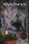 Buchcover und Innenansicht für das Buch: The Sandman