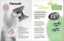 Buchcover und Innenansicht für das Buch: WAS IST WAS Katzen. Eigenwillige Schnurrer