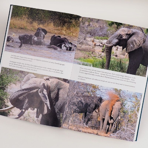 Buchcover und Innenansicht für das Buch: Elephants. Birth, death and family in the lives of the giants