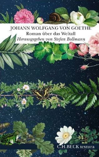 Buchcover und Innenansicht für das Buch: Roman über das Weltall