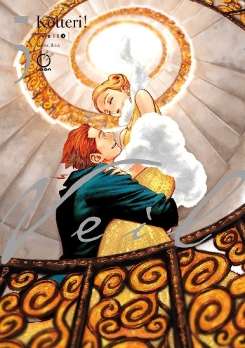 Buchcover und Innenansicht für das Buch: Veil Volume 5: Golden Blink
