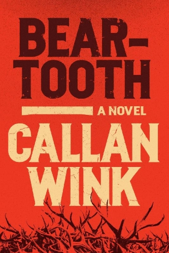 Buchcover und Innenansicht für das Buch: Beartooth