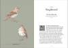 Buchcover und Innenansicht für das Buch: A Year of Birdsong