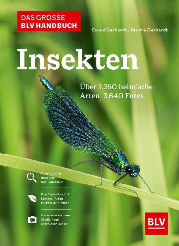 Buchcover und Innenansicht für das Buch: Das große BLV Handbuch Insekten