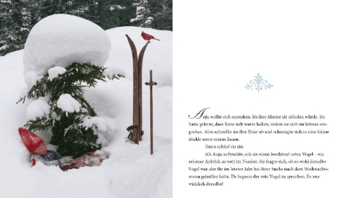 Buchcover und Innenansicht für das Buch: Reindeerwish