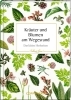Buchcover und Innenansicht für das Buch: Kräuter und Blumen am Wegesrand