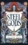 Buchcover und Innenansicht für das Buch: Steel Gods