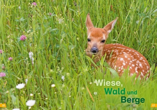 Buchcover und Innenansicht für das Buch: WAS IST WAS Erstes Lesen Band 4. Natur entdecken