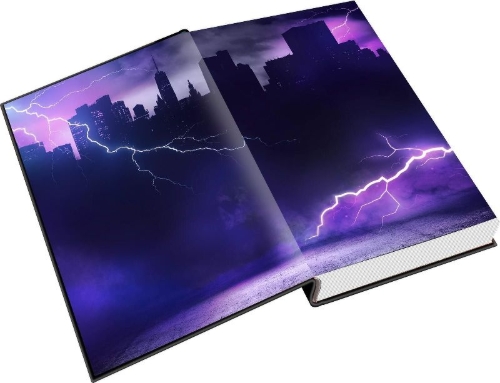 Buchcover und Innenansicht für das Buch: Stormbreaker