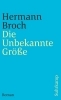 Buchcover und Innenansicht für das Buch: Die Unbekannte Größe