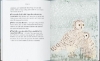 Buchcover und Innenansicht für das Buch: Be more owl