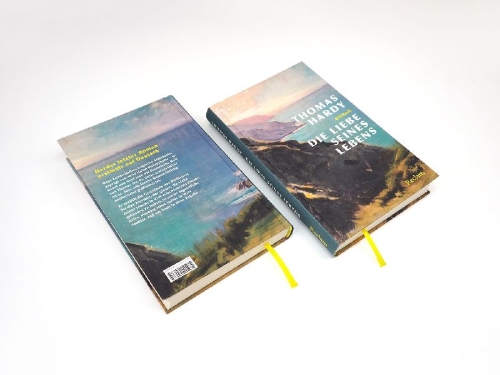 Buchcover und Innenansicht für das Buch: (The Pursuit of) The Well-Beloved