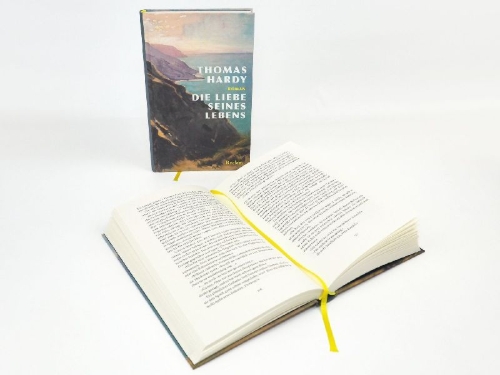 Buchcover und Innenansicht für das Buch: (The Pursuit of) The Well-Beloved