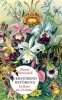 Buchcover und Innenansicht für das Buch: Verstörend betörend - Im Bann der Orchidee
