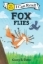 Buchcover und Innenansicht für das Buch: Fox Flies